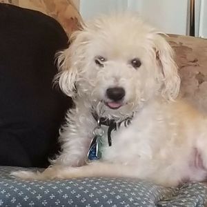 Meet your Posher, Connie